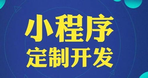 软件系统开发 银川系统开发 银川聚达通 查看