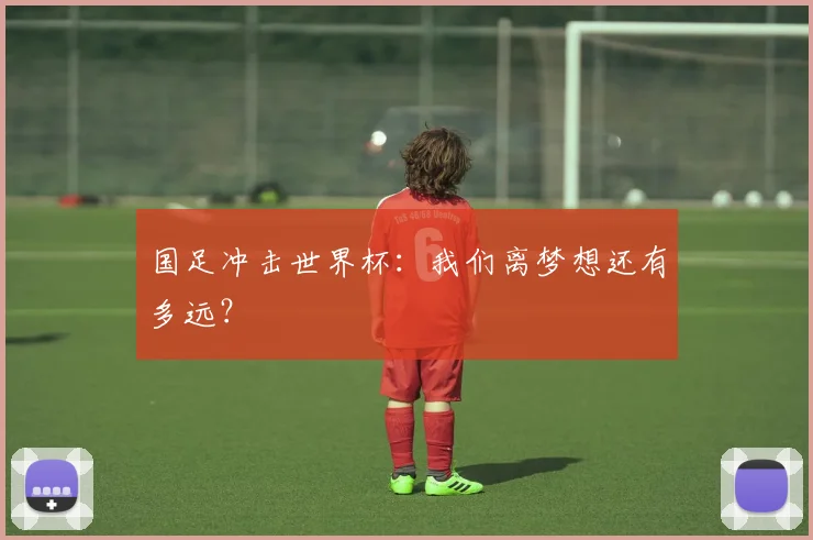 国足冲击世界杯：我们离梦想还有多远？