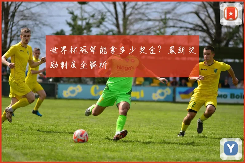 世界杯冠军能拿多少奖金?最新奖励制度全解析