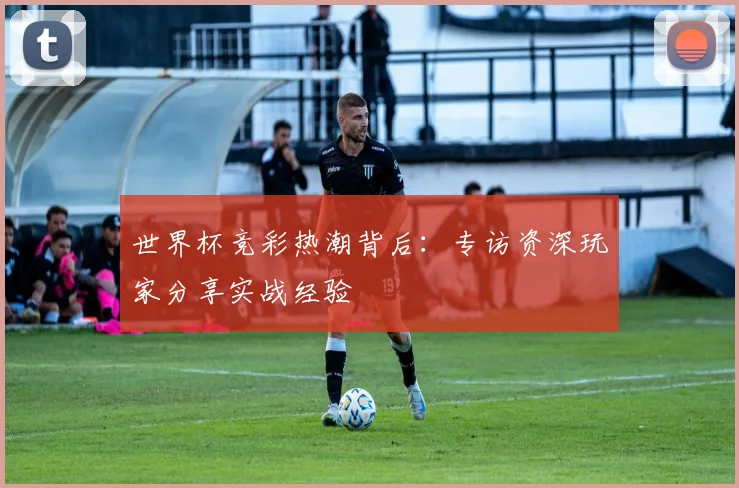 世界杯竞彩热潮背后:专访资深玩家分享实战经验