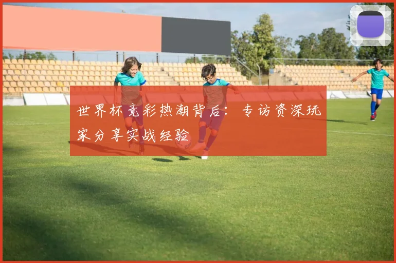 世界杯竞彩热潮背后:专访资深玩家分享实战经验